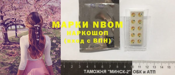 прущие грибы Алзамай