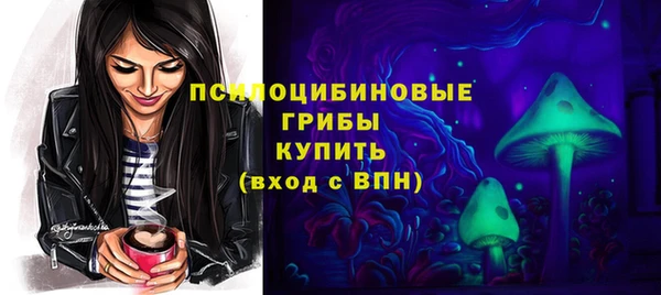 спиды Алексин