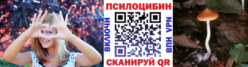 Галлюциногенные грибы Cubensis  Алзамай 