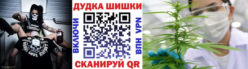 kraken tor  закладки  Алзамай  Марихуана планчик 